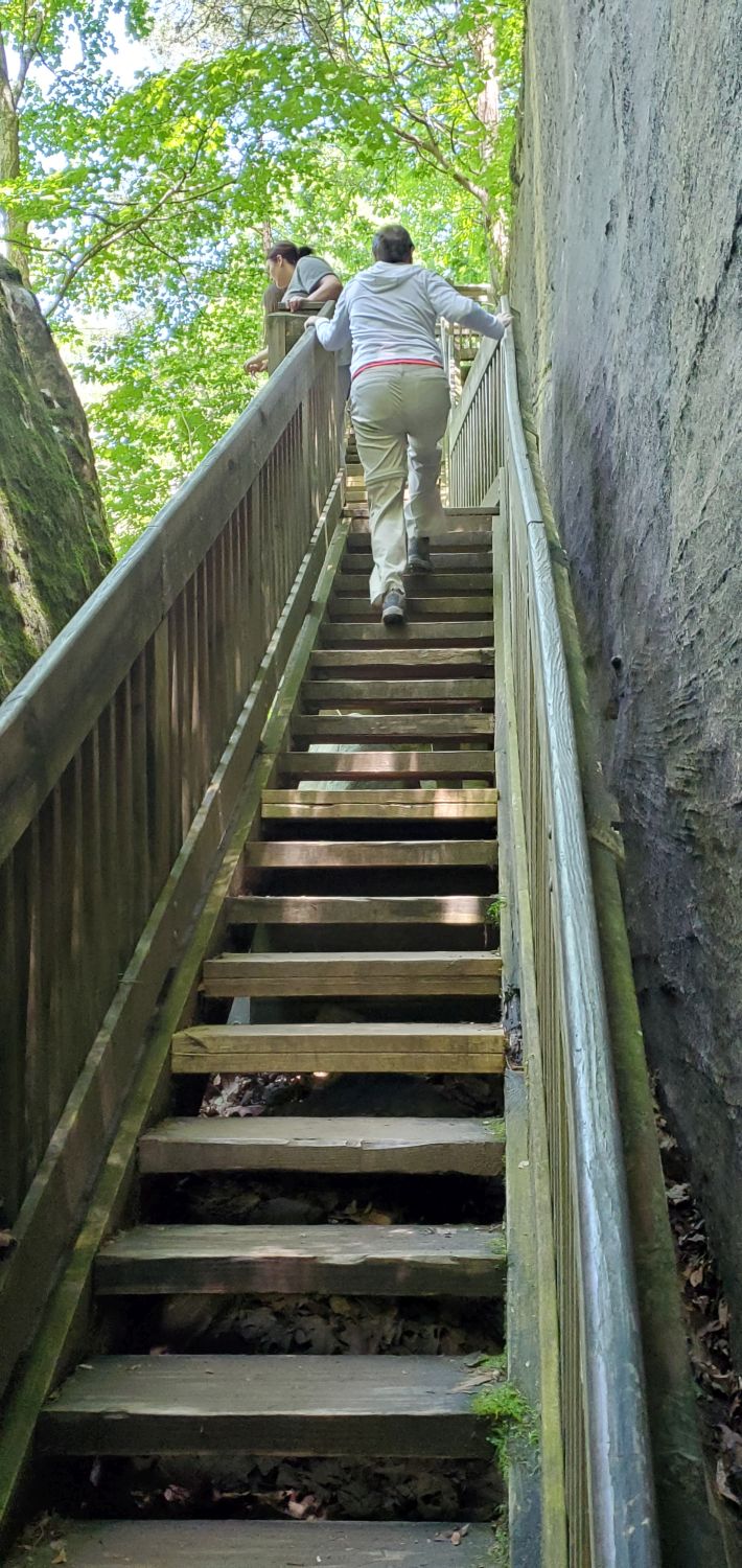 Rim Rock Rec Area - Rim Rock Rec Trail 